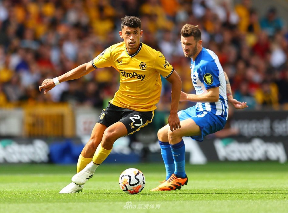 看到知名球 看到知名球